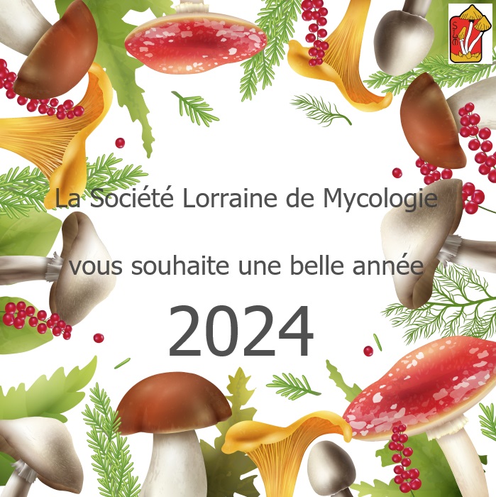 LE GRAND LIVRE DES CHAMPIGNONS 2024